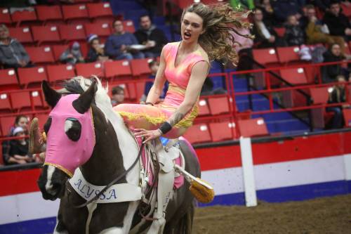 Matt Goerzen/The Brandon Sun
Braillyn Giroux, a trick rider with Tom Bishop’s Wild West Show, gets ready to perform in the main arena during the opening day of the Royal Manitoba Winter Fair on Monday afternoon.