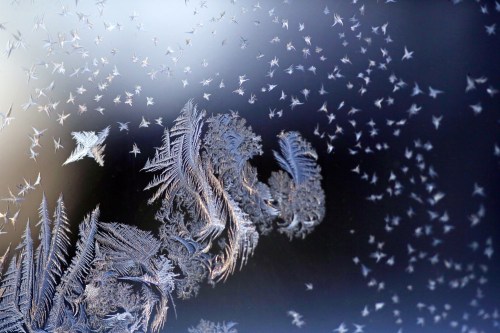 Intricate patterns of frost catch beams of light on a porch window on 15th Street as the sun rises on a bitterly cold weekend morning. The photos were taken with a macro lens, which helps magnify fine details not easily noticed by the human eye. For more photos, turn to Page A2. (Matt Goerzen/The Brandon Sun)