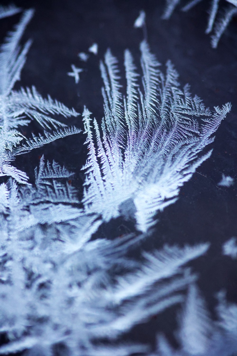 Delicate patterns of frost that formed on my porch windows overnight on Monday are seen here against the light from the house next door. (Matt Goerzen/The Brandon Sun)
