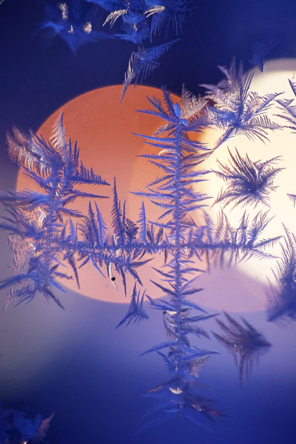 Out of focus lights brighten the forms of frost that grow on my porch when the winter temperatures dip below -20 C. (Matt Goerzen/The Brandon Sun)