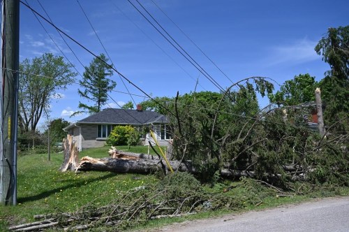 Snapped trees and down power lines lay on the ground in Uxbridge, Ont., on Tuesday, May 24, 2022, after a major storm hit parts of Ontario on Saturday, May 21, 2022, leaving extensive damage. THE CANADIAN PRESS/Jon Blacker