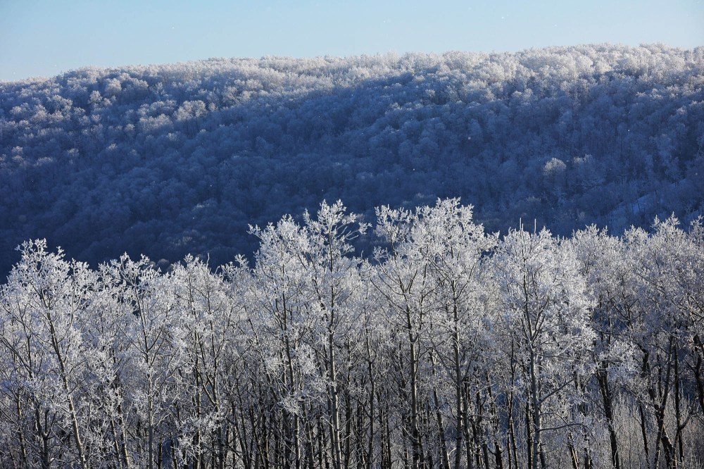 Hoar Frost clings to the trees in the valley at Asessippi Ski Resort on a sunny day in early January. (Tim Smith/The Brandon Sun)